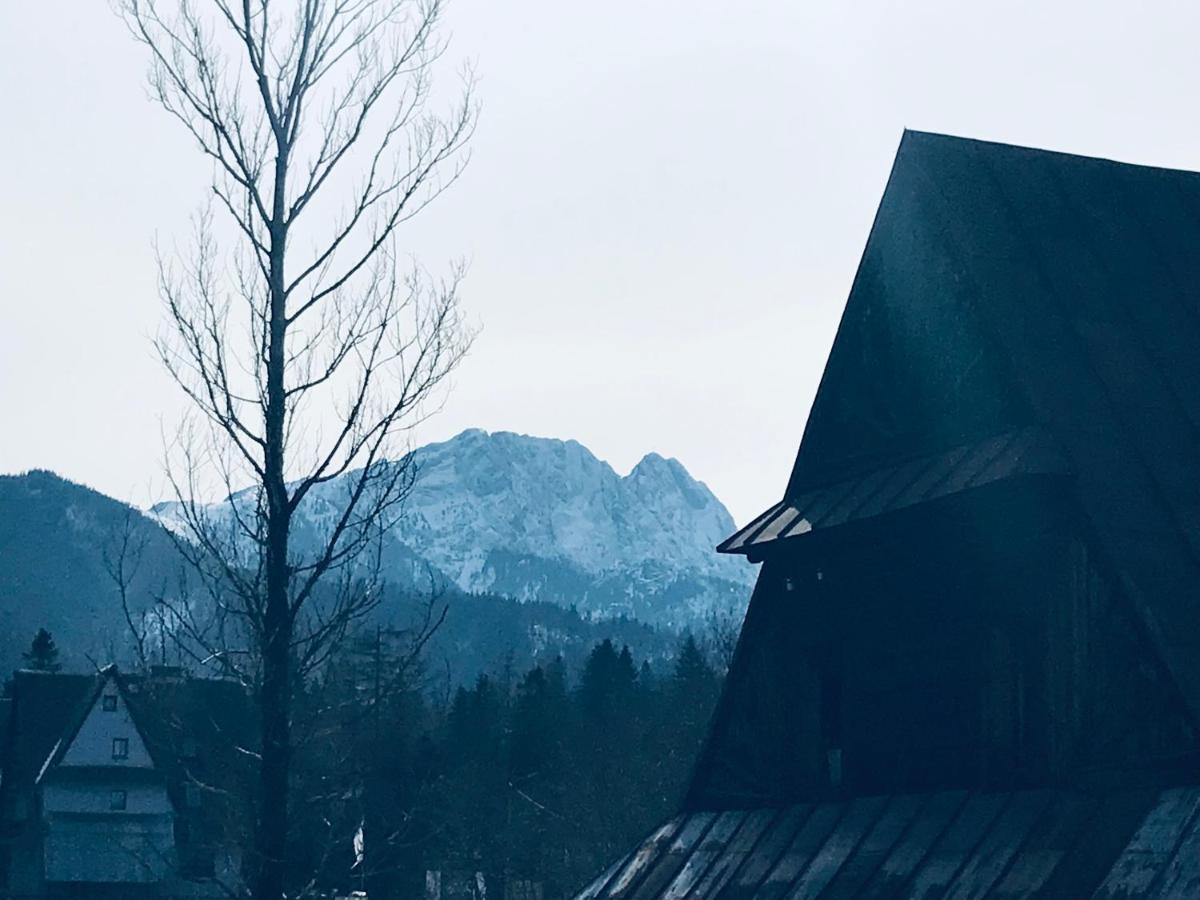 Willa Pod Gorami Zakopane Esterno foto